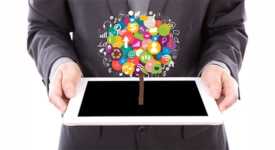 SEO Company in USA in USA​